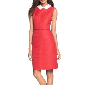 Tory Burch Kimberly Dress with Detachable Collar in Carnival Size 6